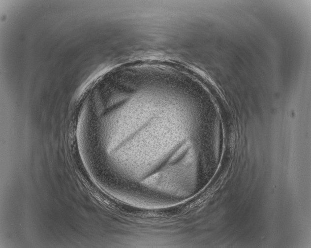 X0000085211359200703231456