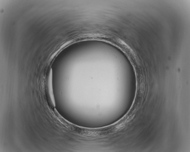 X0000085211361200703231456