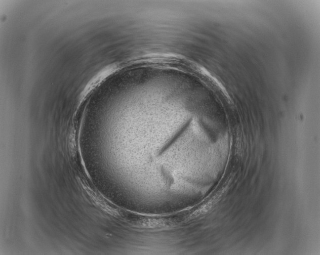 X0000085211362200703231456