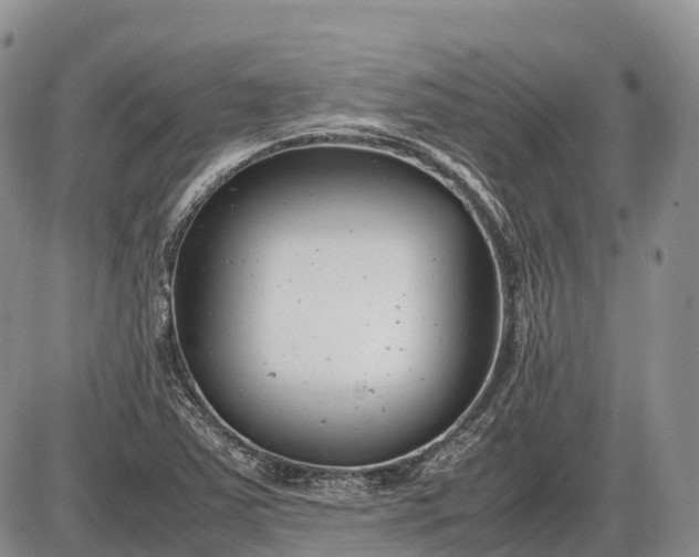 X0000085211363200703231456