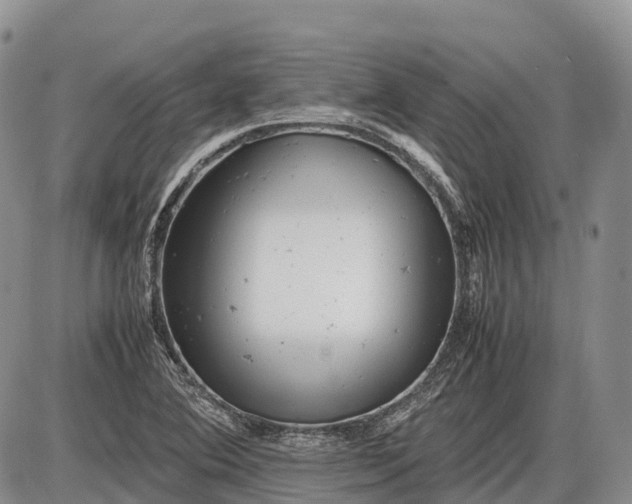 X0000085211364200703231456