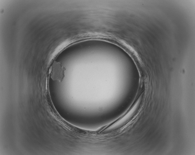 X0000085211365200703231456