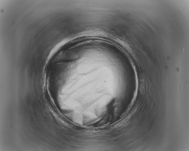 X0000085211366200703231456