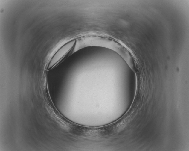 X0000085211367200703231456