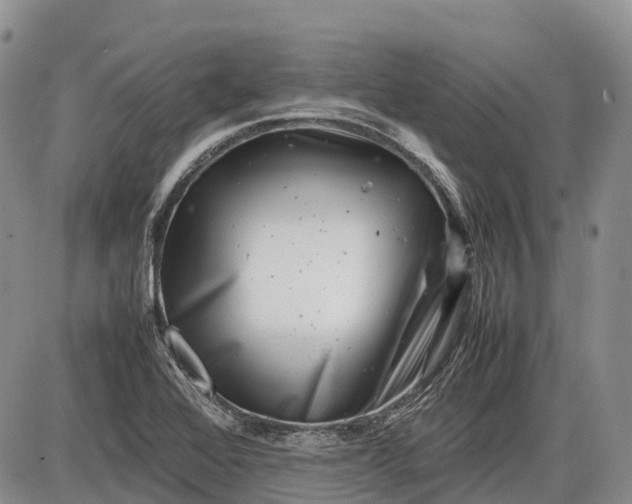 X0000085211368200703231456