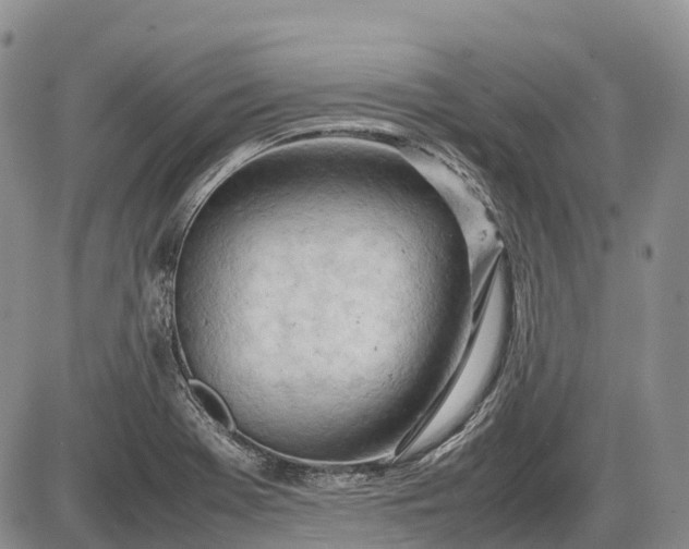 X0000085211369200703231456