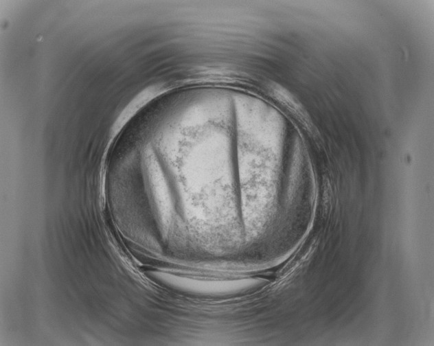 X0000085211370200703231456