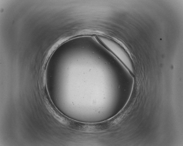 X0000085211371200703231456