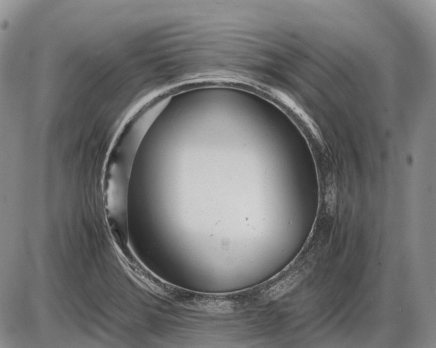 X0000085211372200703231456