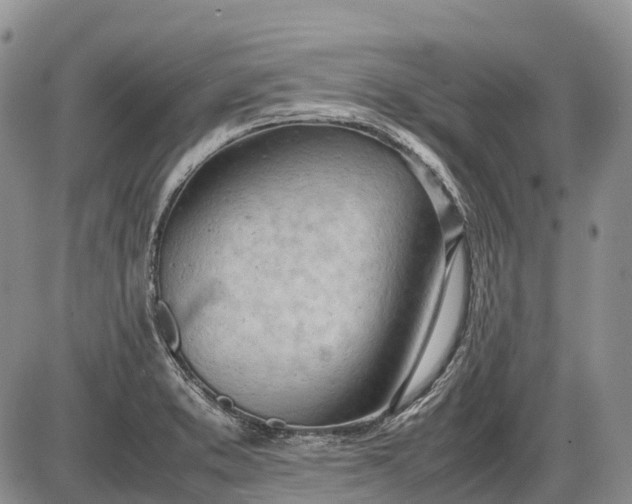 X0000085211373200703231456