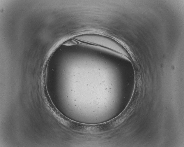 X0000085211375200703231456