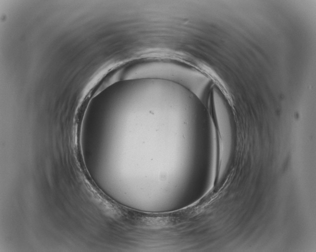 X0000085211376200703231456