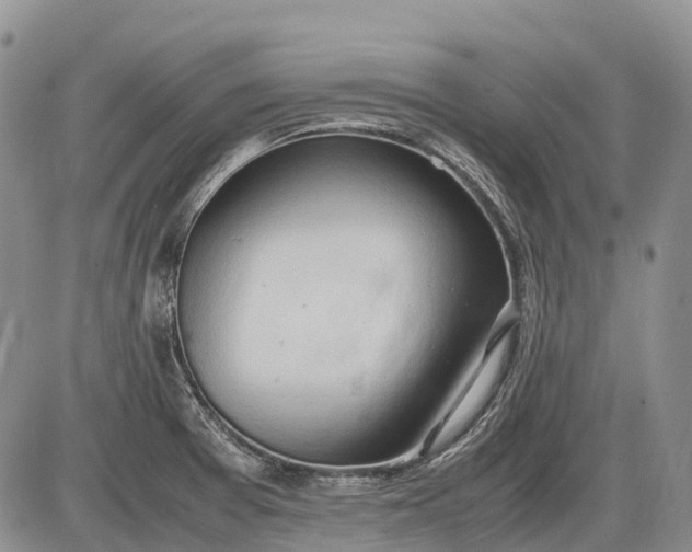 X0000085211377200703231456