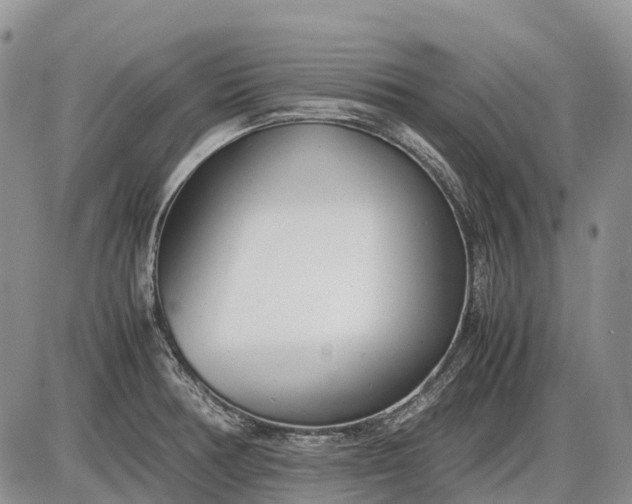 X0000085211378200703231456