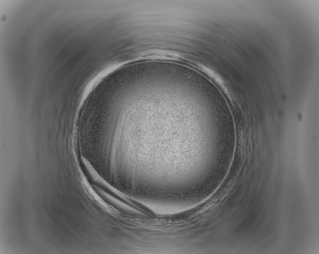 X0000085211379200703231456