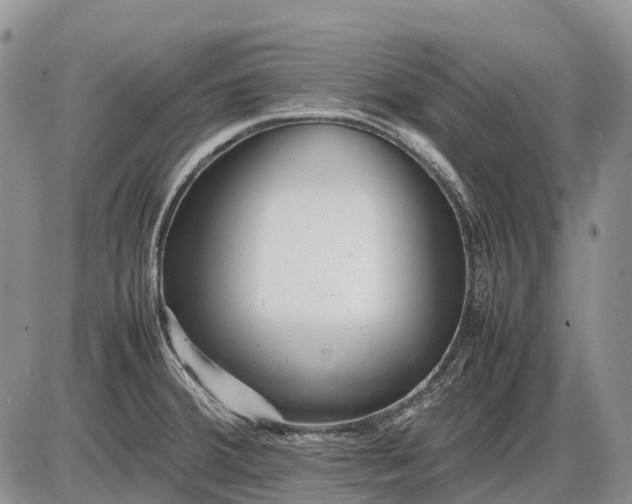 X0000085211380200703231456