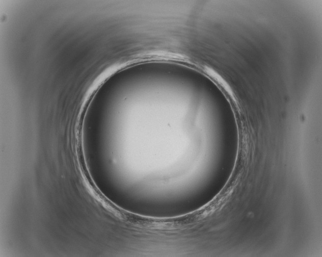 X0000085211381200703231456