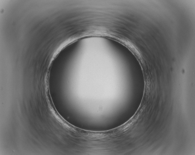 X0000085211382200703231456