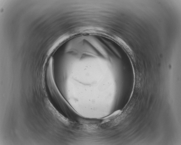 X0000085211384200703231456