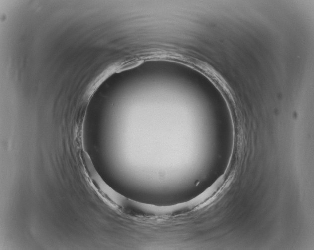 X0000085211385200703231456