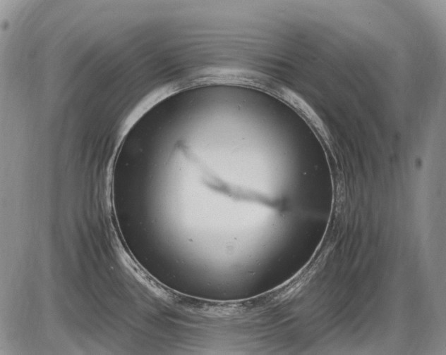 X0000085211386200703231456