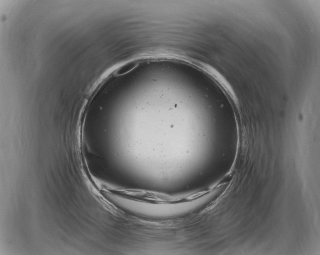 X0000085211388200703231456