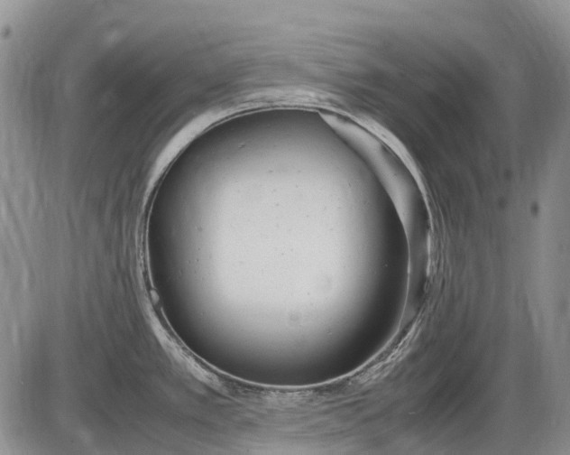 X0000085211389200703231456