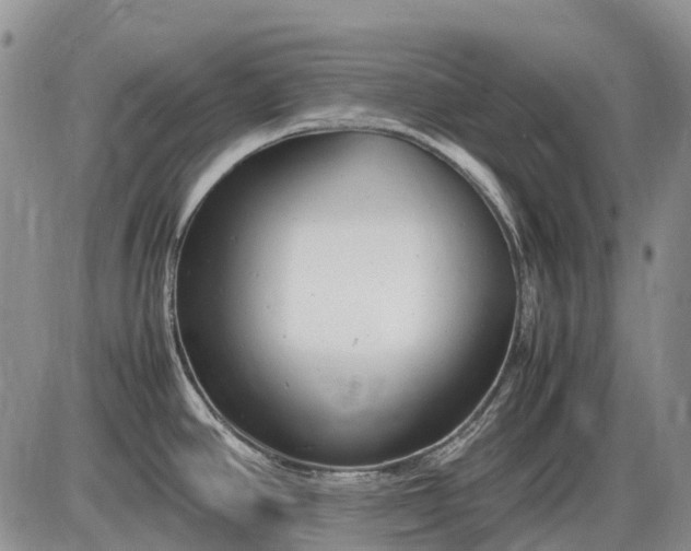 X0000085211390200703231456