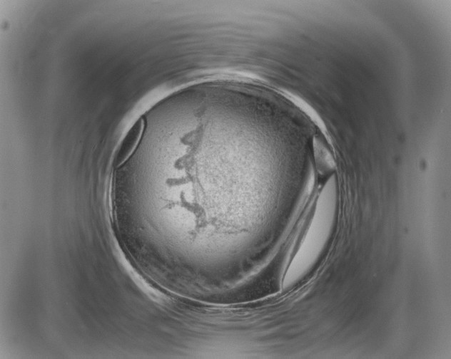 X0000085211391200703231456