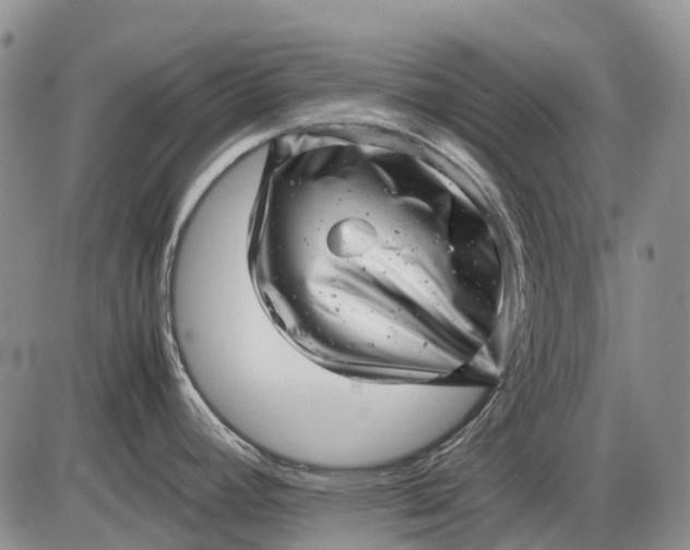 X0000085211392200703231456