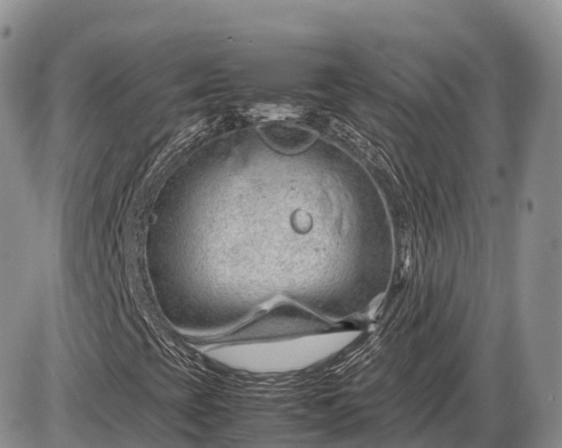 X0000085211393200703231455