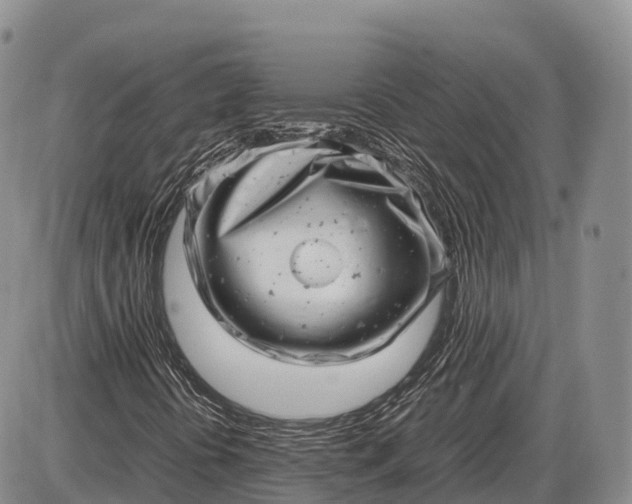 X0000085211394200703231455