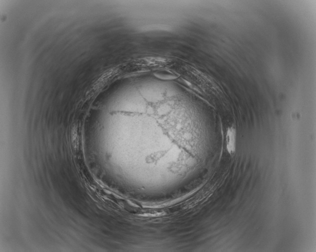 X0000085211395200703231455