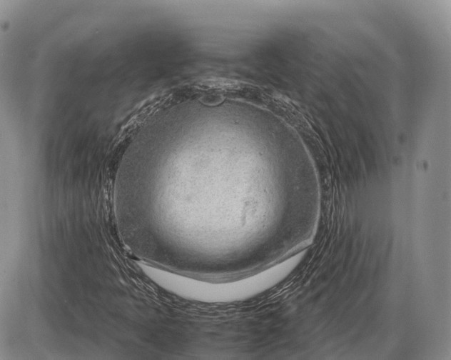 X0000085211397200703231455