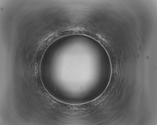 X0000085211398200703231455