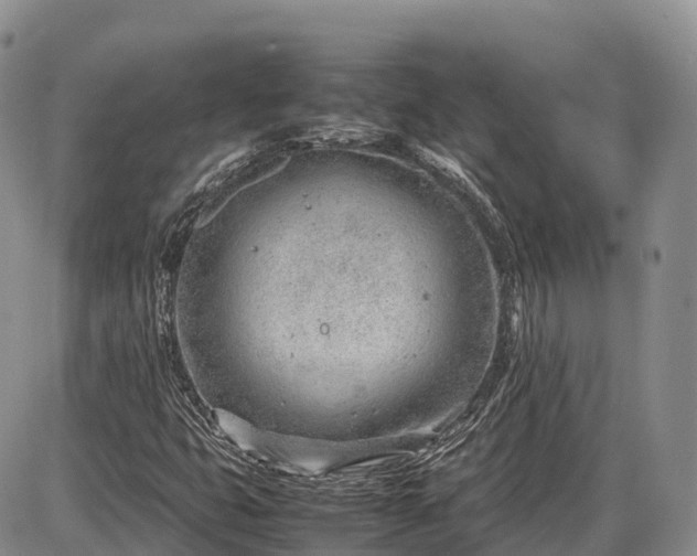 X0000085211399200703231455