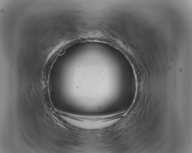 X0000085211400200703231455