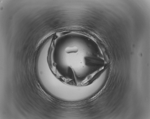 X0000085211402200703231455