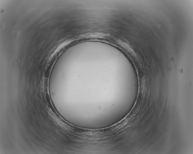 X0000085211404200703231455