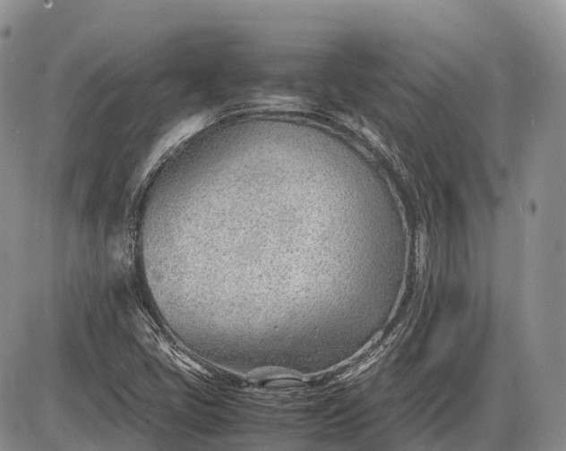 X0000085211405200703231455