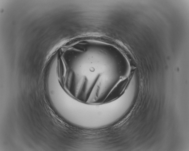 X0000085211406200703231455