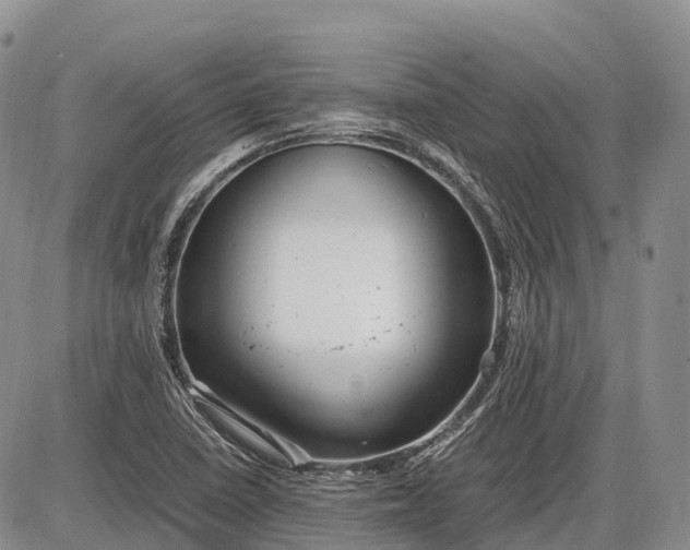 X0000085211410200703231455