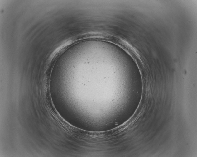 X0000085211411200703231455