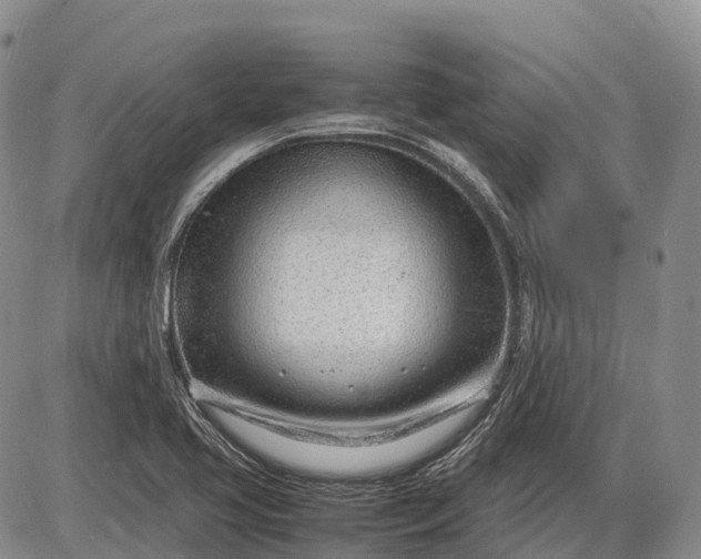 X0000085211413200703231455