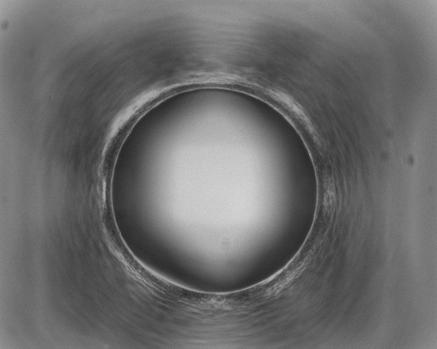 X0000085211414200703231455