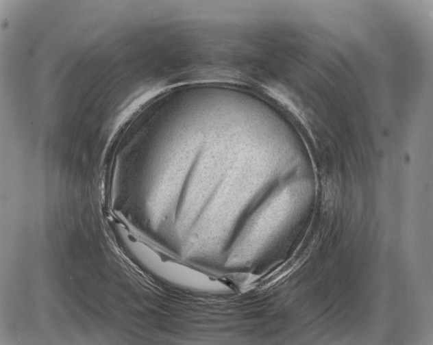 X0000085211415200703231455