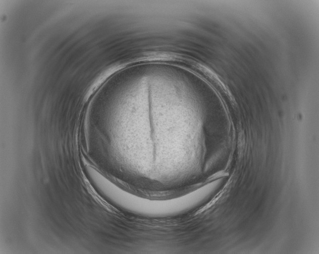 X0000085211417200703231455