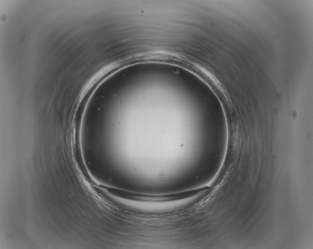 X0000085211418200703231455