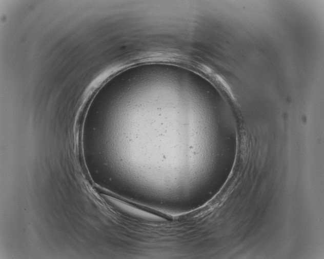 X0000085211419200703231455