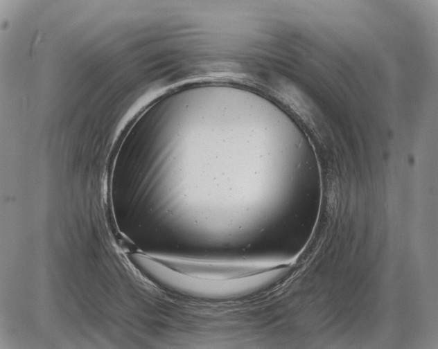 X0000085211420200703231455